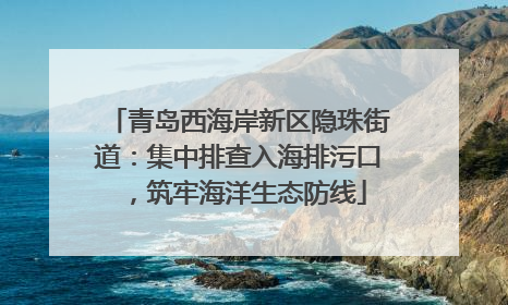 青岛西海岸新区隐珠街道：集中排查入海排污口，筑牢海洋生态防线